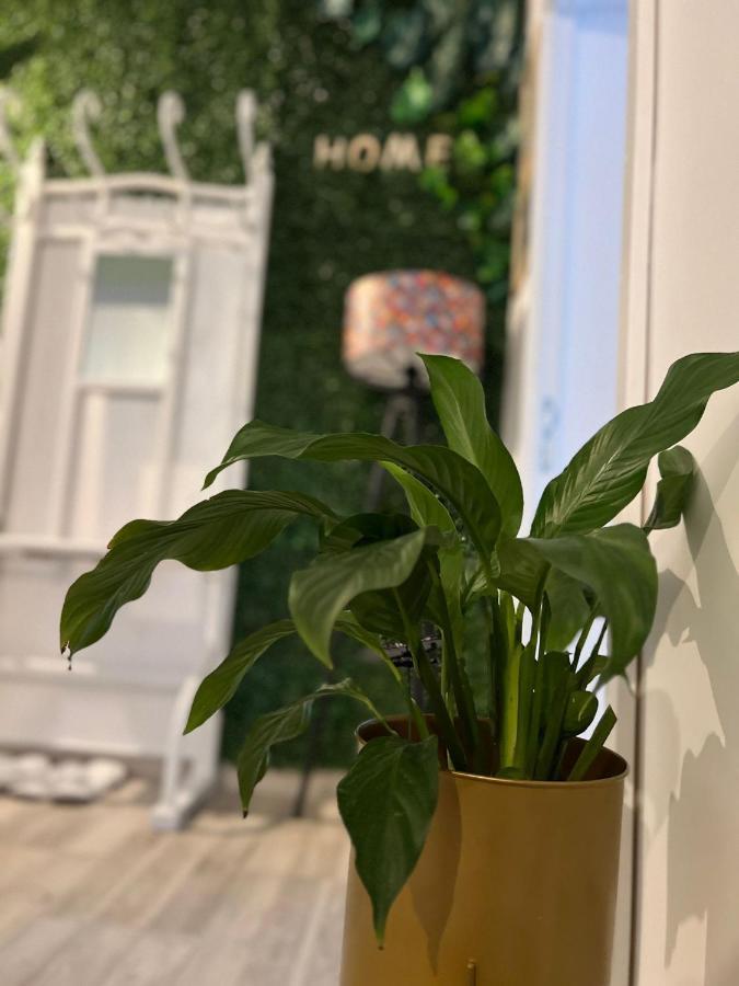Sweet Home Apartament เปรดัล ภายนอก รูปภาพ